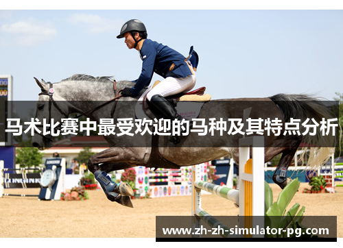 马术比赛中最受欢迎的马种及其特点分析
