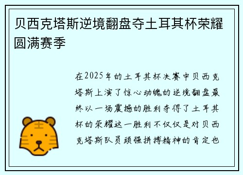 贝西克塔斯逆境翻盘夺土耳其杯荣耀圆满赛季